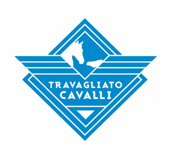 Copy of FieraCavalli Verona 2025: our first experience as protagonists